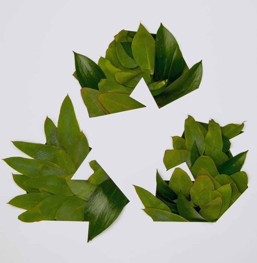Shaoxing Wanyi rhoncus Co., Ltd.