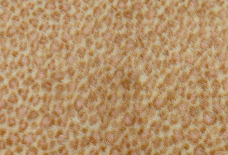 160mm latitudo Europae mink print pardus faux mink fabric 160mm latitudo Europae mink print pardus faux mink fabric